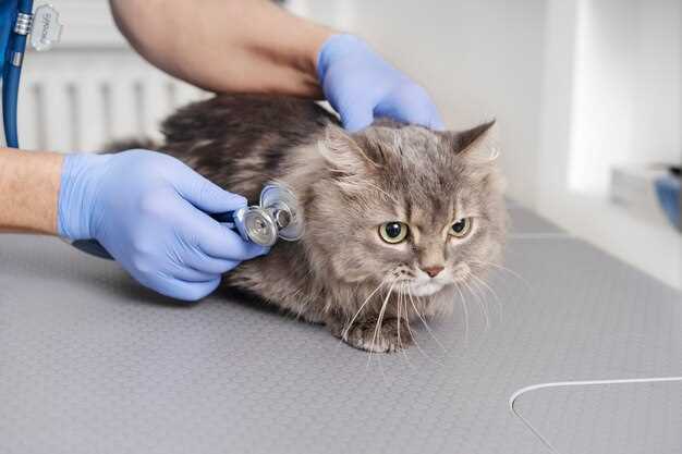 Clopidogrel dose for cats