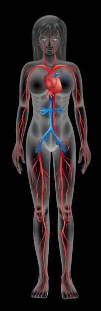 Understanding Antiplatelet Therapy