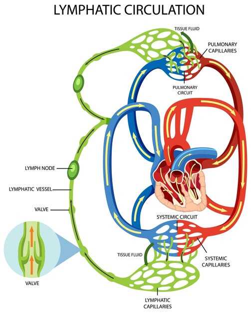 The Dance of Inhibition