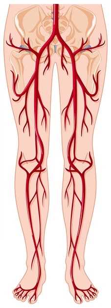 Clopidogrel peripheral vascular disease