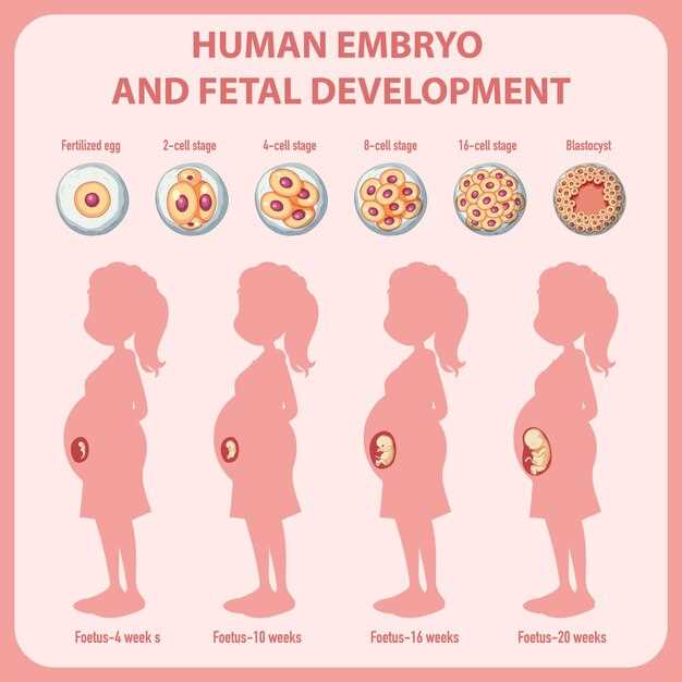 Clopidogrel pregnancy category