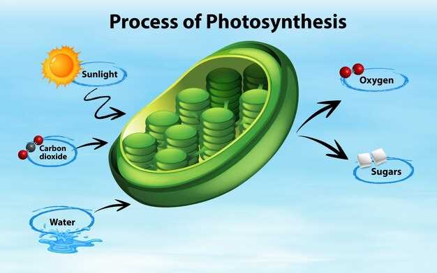 Improved synthesis of clopidogrel