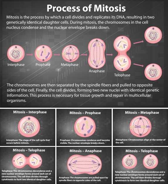 The Science Behind