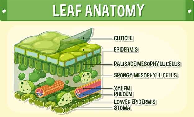 1. Unraveling Molecular Mechanisms