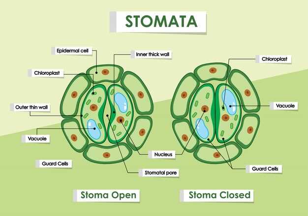 About Platelet Resistance