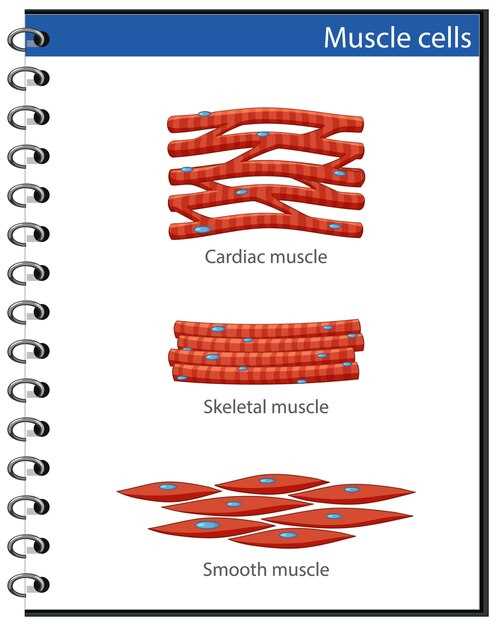 Stent and clopidogrel