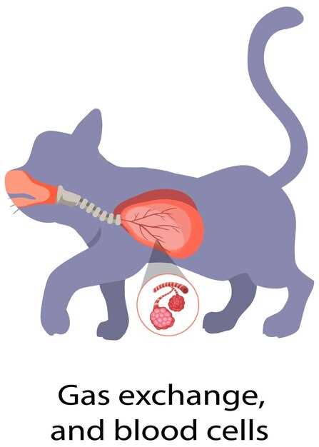 What is the indication of clopidogrel